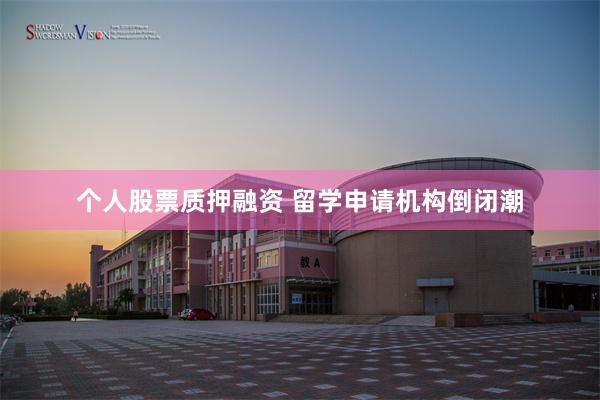个人股票质押融资 留学申请机构倒闭潮