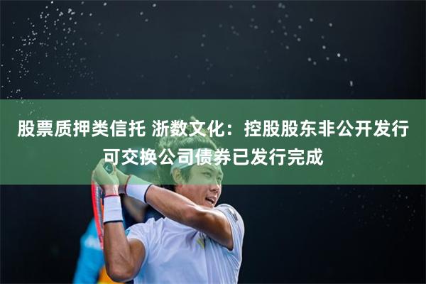 股票质押类信托 浙数文化：控股股东非公开发行可交换公司债券已发行完成