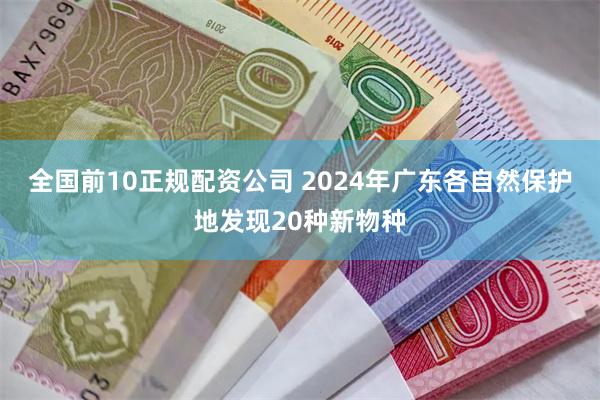 全国前10正规配资公司 2024年广东各自然保护地发现20种新物种