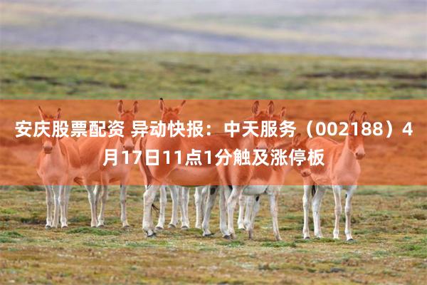 安庆股票配资 异动快报：中天服务（002188）4月17日11点1分触及涨停板