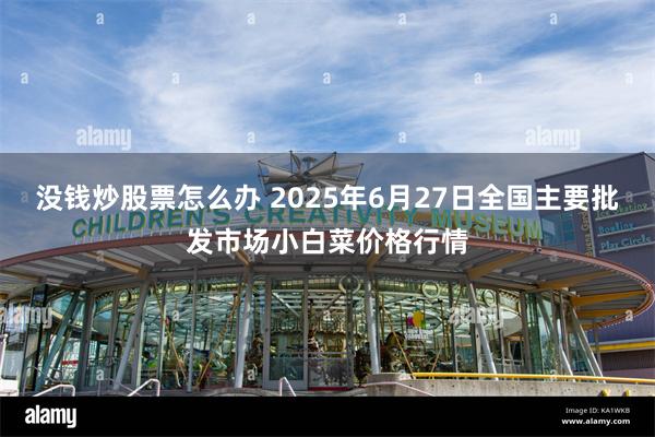 没钱炒股票怎么办 2025年6月27日全国主要批发市场小白菜价格行情